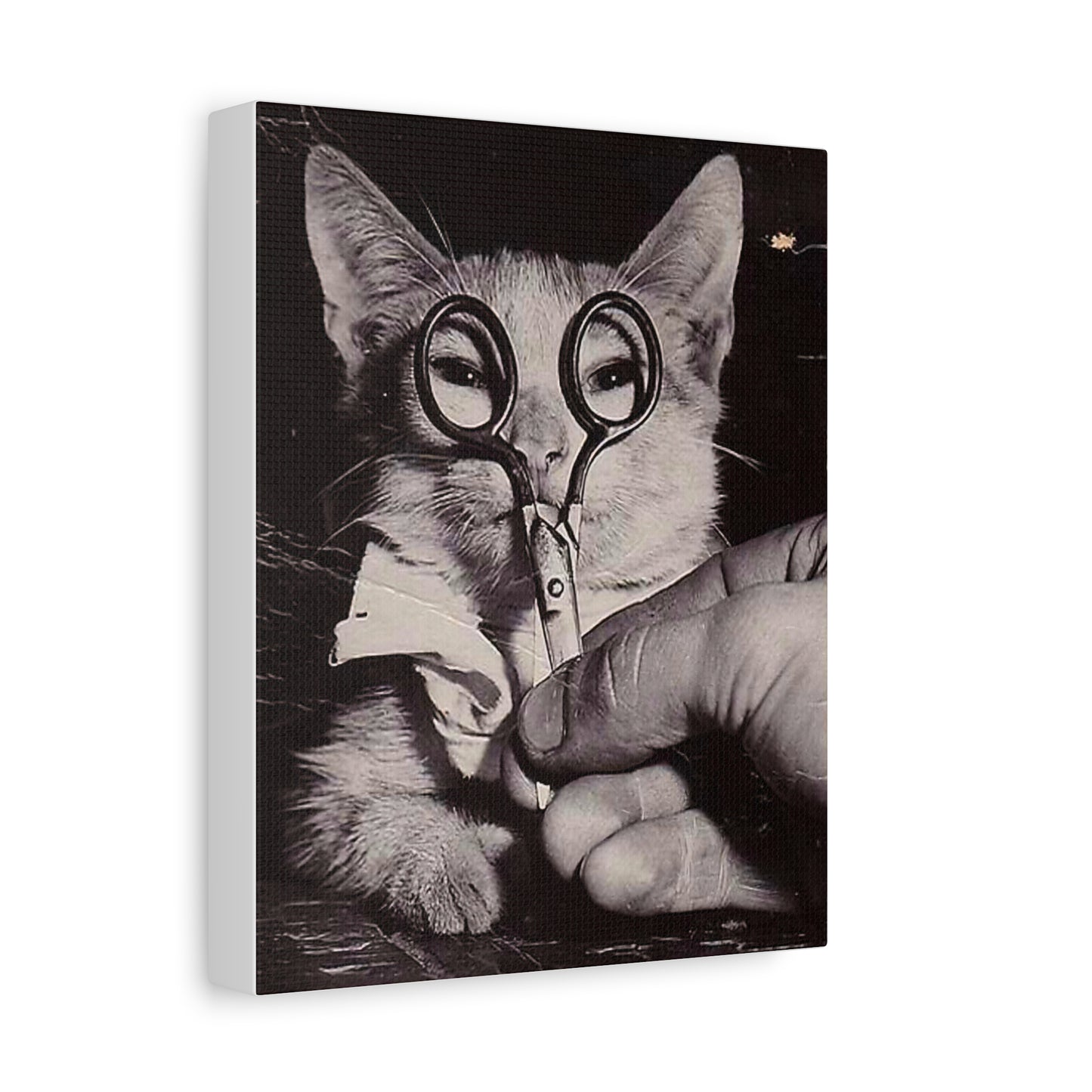 Canvas Wall Art Prints, Vintage Cat With Scissor Glasses, Whimsical Photo Art