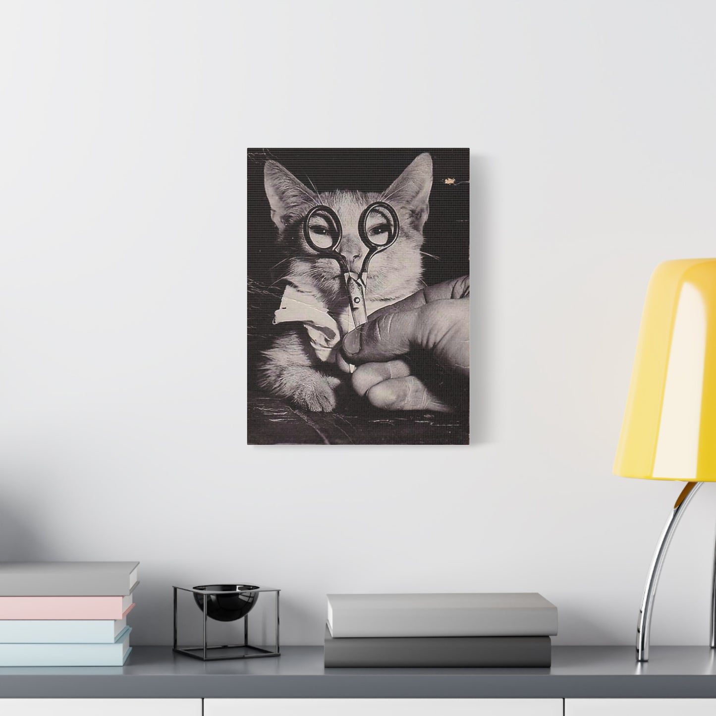 Canvas Wall Art Prints, Vintage Cat With Scissor Glasses, Whimsical Photo Art