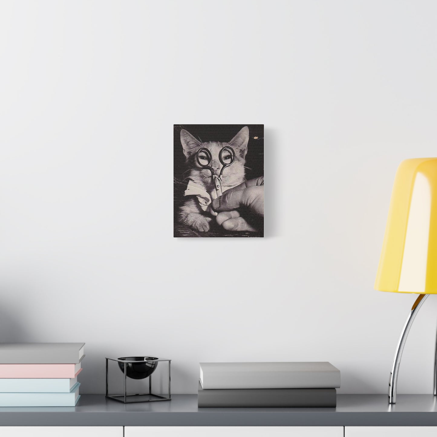 Canvas Wall Art Prints, Vintage Cat With Scissor Glasses, Whimsical Photo Art